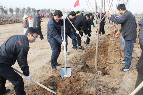 大手筆造綠繪景 新區(qū)今年綻新顏